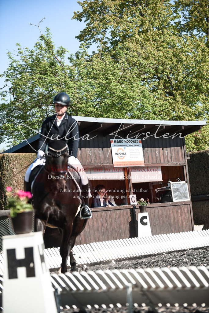 DSC_8616 | Pferde- und Turnierfotografie in Westsachsen. Pferdeportraits, Auftragszeichnungen und intuitive Kunst.