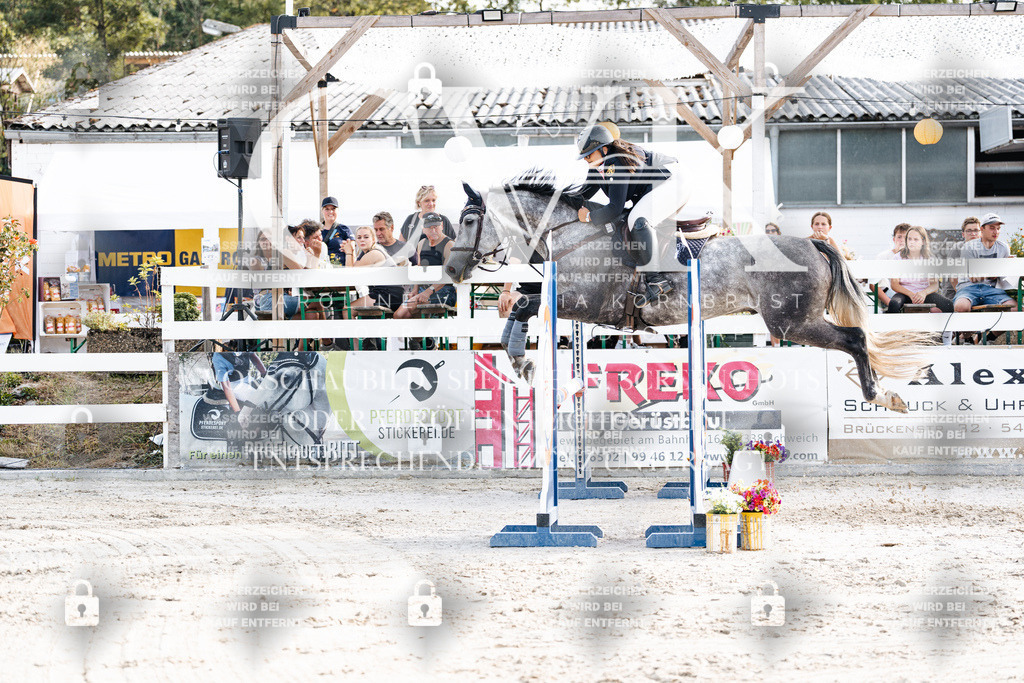 CK906236 | Turnierfotografie Pferdefotografie Trier Rheinland-Pfalz Pferdesport Reitsport Tierfotografie Sportfotografie Pferdevideo Pferdevideografie Equestrianvideography equestrianphotography  - Realisiert mit Pictrs.com
