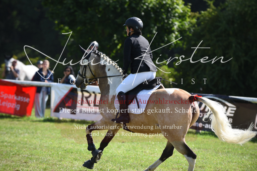 DSC_9080 | Pferde- und Turnierfotografie in Westsachsen. Pferdeportraits, Auftragszeichnungen und intuitive Kunst.