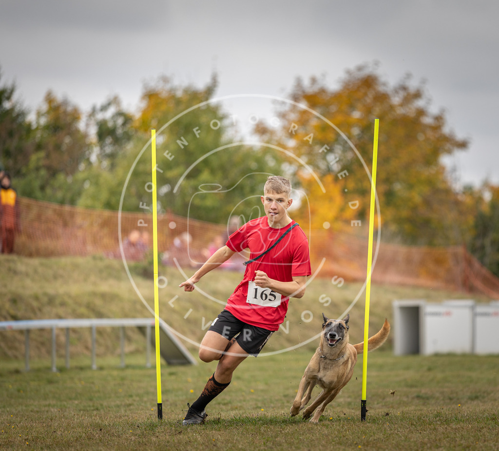Pfotenfotografie_DV3A5271 | Hundefotografie, Tierfotograf, Pfotenfotografie, Fotoshooting Hund, Hunde Portrait, Hundesport, Hundeportraits, Heideshooting, Hunde, Sportfotograf, Hundefotograf, Turnierhundsport, THS,  - Realisiert mit Pictrs.com