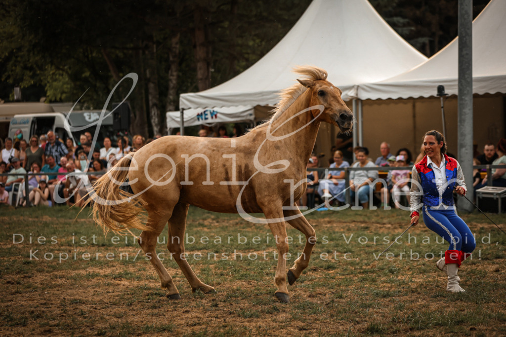 SoProg00050 | Leoni Ertmer Photography - Realisiert mit Pictrs.com