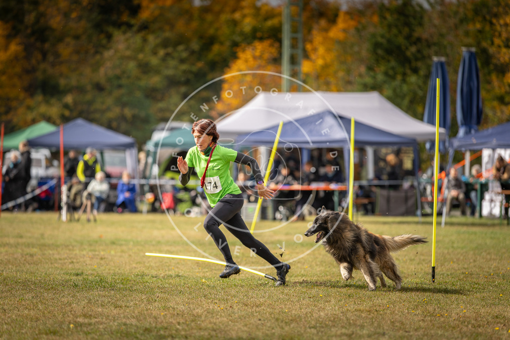 Pfotenfotografie_DV3A5846 | Hundefotografie, Tierfotograf, Pfotenfotografie, Fotoshooting Hund, Hunde Portrait, Hundesport, Hundeportraits, Heideshooting, Hunde, Sportfotograf, Hundefotograf, Turnierhundsport, THS,  - Realisiert mit Pictrs.com