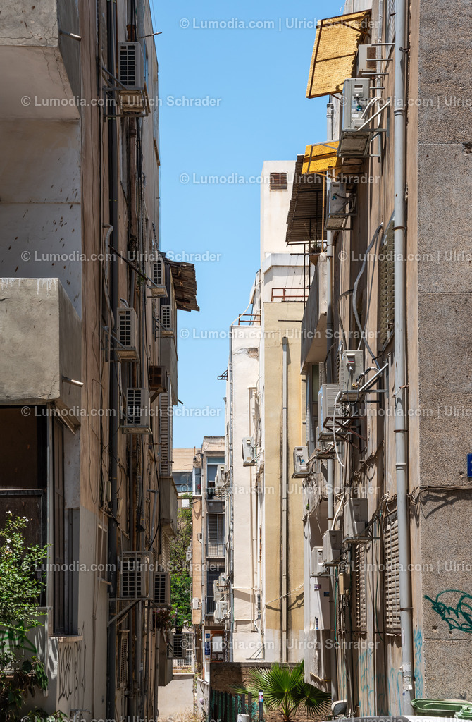 10972-10136 - Tel Aviv - Rothschild Boulevard | Stockfoto und Bilderpool mit Bildmaterial aus Deutschland, dem Harz, Halberstadt, Quedlinburg, Wernigerode und weltweit. Qualitativ hochwertige und professionelle Fotos anschauen und kaufen. - Realisiert mit Pictrs.com