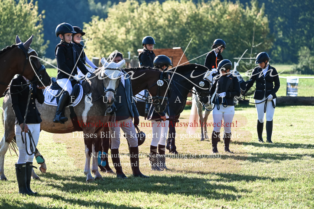 DSC_0503 | Pferde- und Turnierfotografie in Westsachsen. Pferdeportraits, Auftragszeichnungen und intuitive Kunst.
