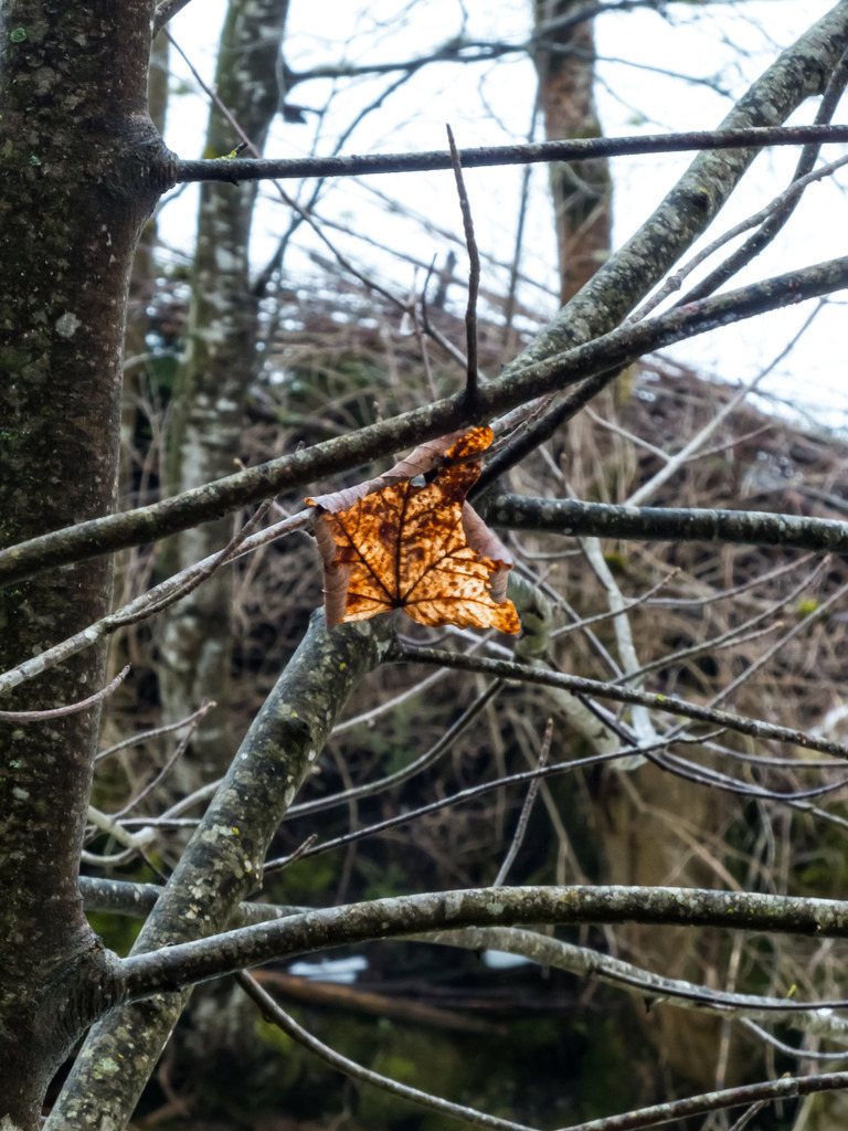 PSX_20230313_000356 | mtkfoto_ - Realisiert mit Pictrs.com