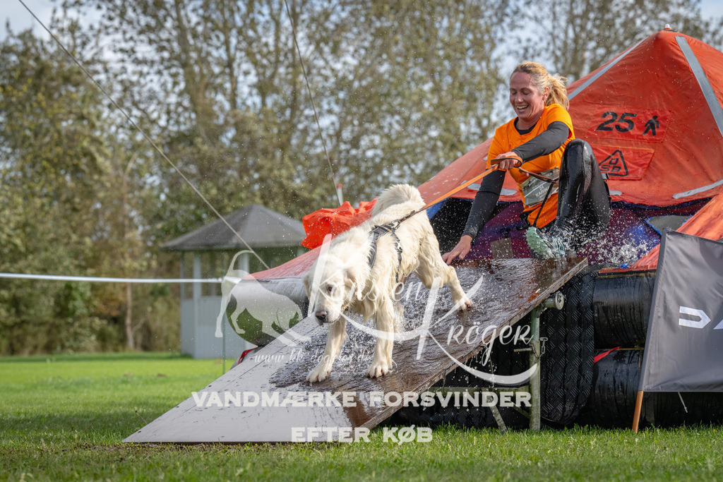 1211-92726 | kk-dogfotos