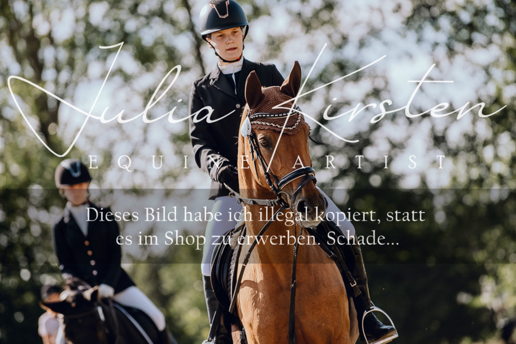 DSC_7174 | Pferde- und Turnierfotografie in Westsachsen. Pferdeportraits, Auftragszeichnungen und intuitive Kunst.