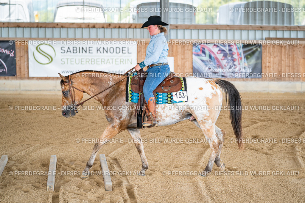 DSC02067 | Pferdegrafie