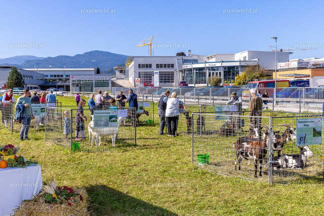 SchaZie Tag | Bildershop von pixelworld.at - Realisiert mit Pictrs.com