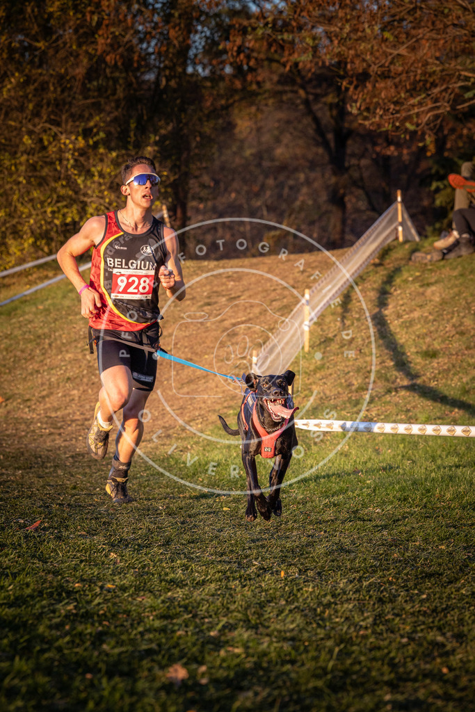 CaniXpix_0L8A1678 | Hundefotografie, Tierfotograf, Pfotenfotografie, Fotoshooting Hund, Hunde Portrait, Hundesport, Hundeportraits, Heideshooting, Hunde, Sportfotograf, Hundefotograf, Turnierhundsport, THS,  - Realisiert mit Pictrs.com