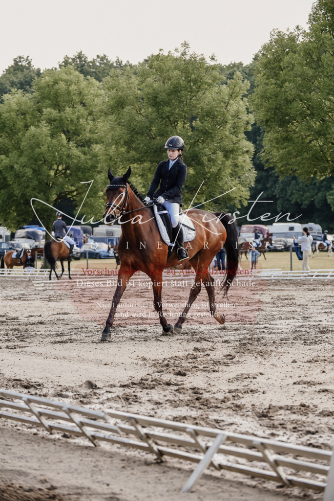 DSC_7986 | Pferde- und Turnierfotografie in Westsachsen. Pferdeportraits, Auftragszeichnungen und intuitive Kunst.