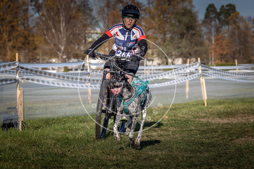 CaniXpix_0L8A5081 | Hundefotografie, Tierfotograf, Pfotenfotografie, Fotoshooting Hund, Hunde Portrait, Hundesport, Hundeportraits, Heideshooting, Hunde, Sportfotograf, Hundefotograf, Turnierhundsport, THS,  - Realisiert mit Pictrs.com