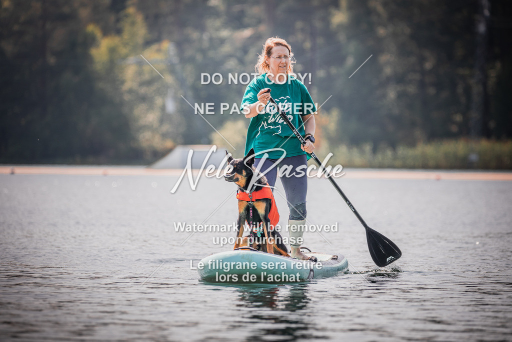 BUHU_SUP_563 | nelerasche