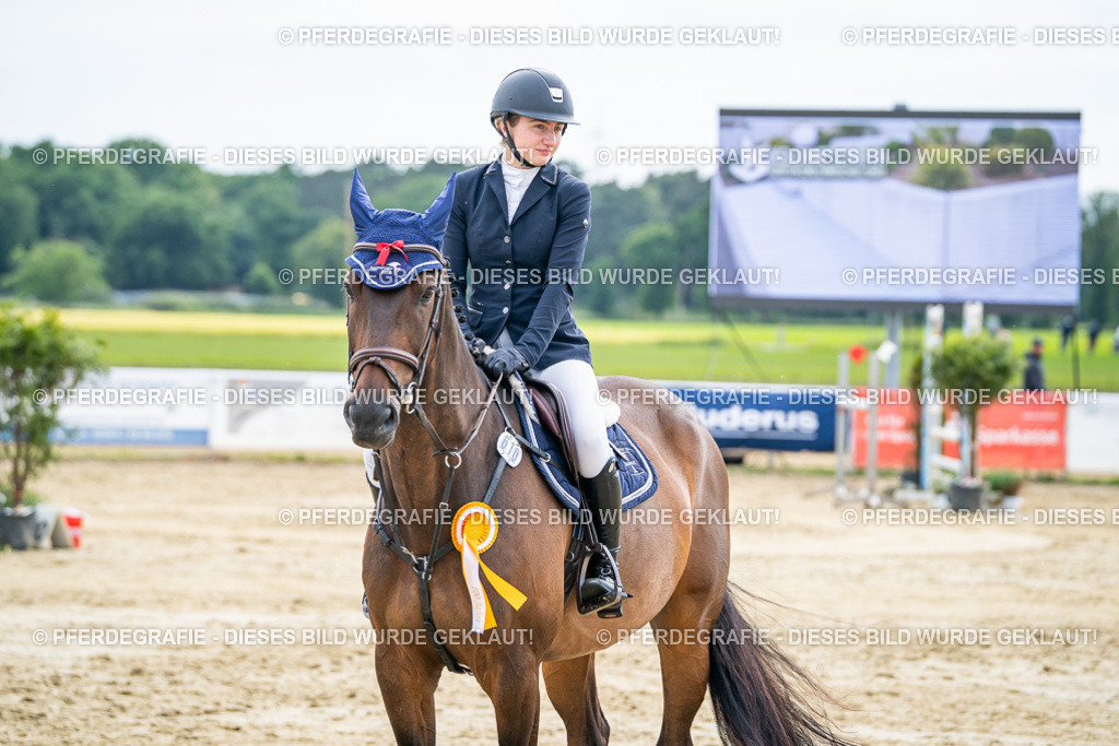 DSC05592 | Pferdegrafie