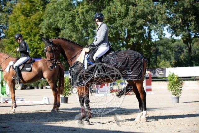 2B4A0740 | pixelfaenger - Realisiert mit Pictrs.com