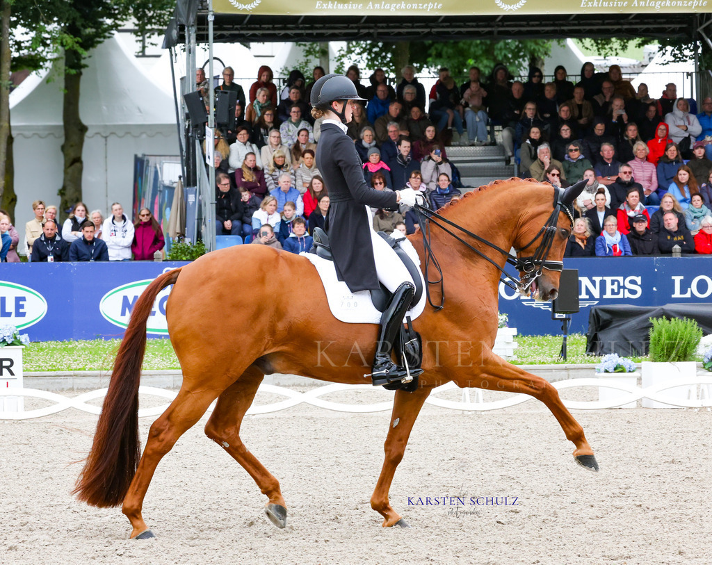 1B3A8468 | Reitsport Reiten