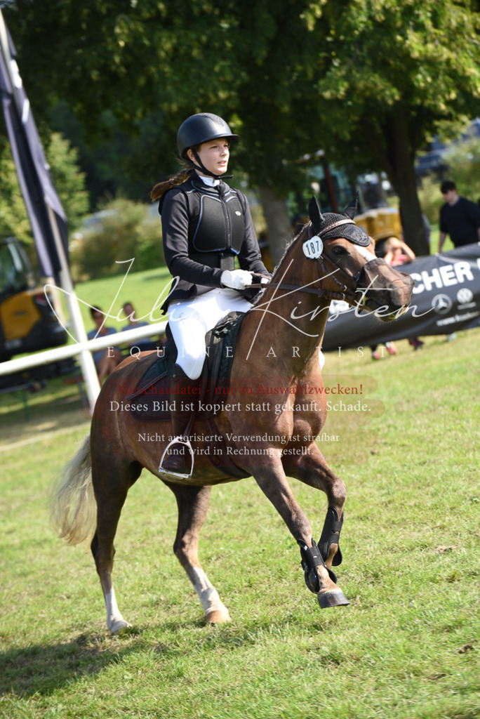 DSC_8946 | Pferde- und Turnierfotografie in Westsachsen. Pferdeportraits, Auftragszeichnungen und intuitive Kunst.