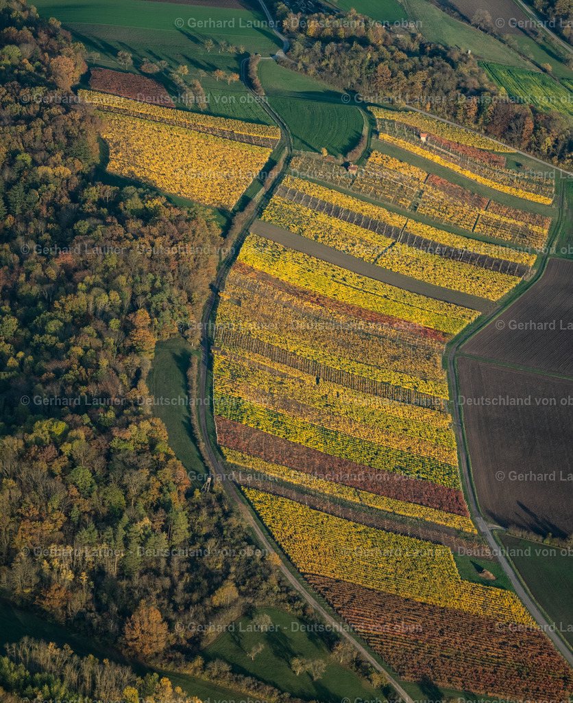 4042449 | Weinlage Hohenlandsberg bei Reusch