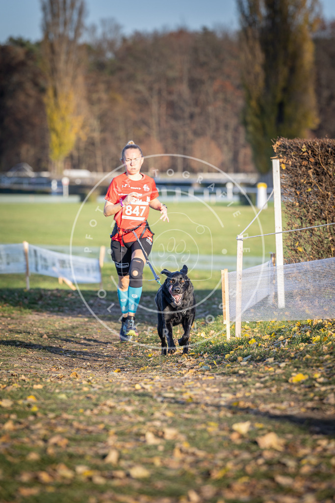 CaniXpix_DV3A3790 | Hundefotografie, Tierfotograf, Pfotenfotografie, Fotoshooting Hund, Hunde Portrait, Hundesport, Hundeportraits, Heideshooting, Hunde, Sportfotograf, Hundefotograf, Turnierhundsport, THS,  - Realisiert mit Pictrs.com