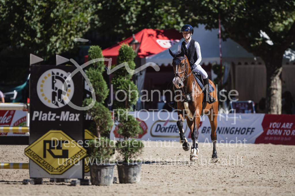 230907_OWLCh_SpringpferdeM-142 | Deine schönsten Turniermomente als professionelle Fotos! Entdecke hochwertige Pferdesport-Fotografie im Online-Shop. Jetzt Fotos finden & bestellen!