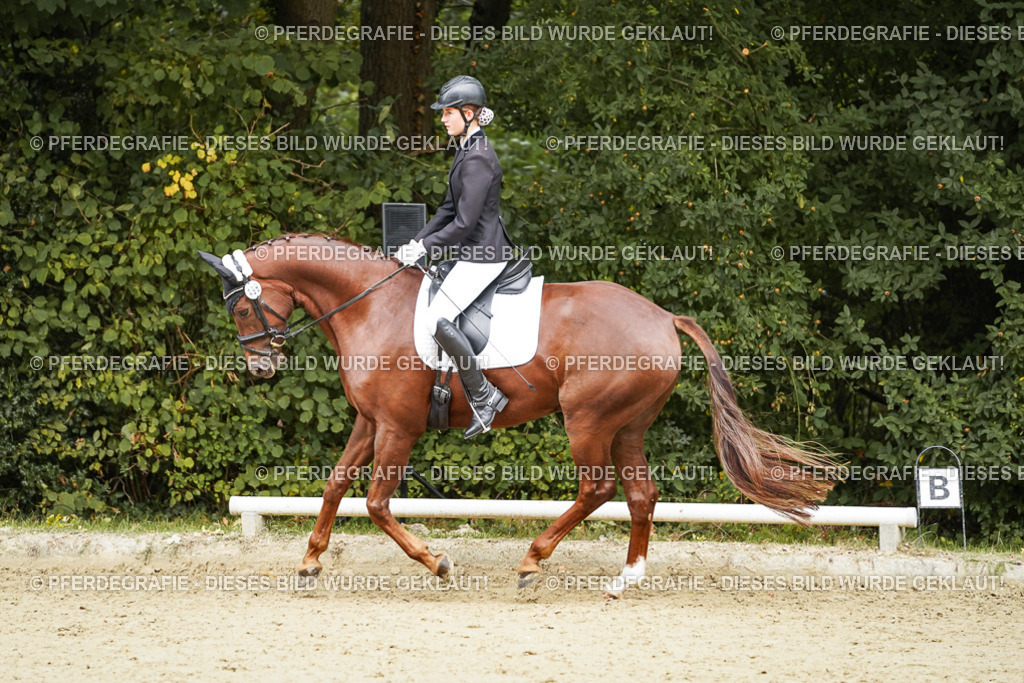 DSC00397 | Pferdegrafie