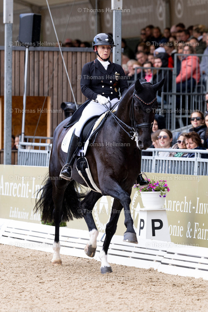 TH_405-WERTH Isabell (GER)_ Wendy de Fontaine_37735 | Deutsches Spring- und Dressur-Derby 2026 am 16.05.26 in Hamburg, 405WERTH Isabell (GER), Wendy de Fontaine