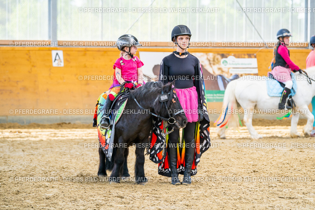 DSC00761 | Pferdegrafie