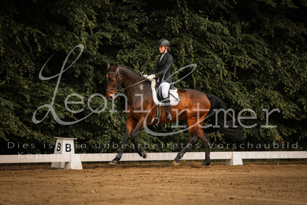 DoDrA00065 | Leoni Ertmer Photography - Realisiert mit Pictrs.com