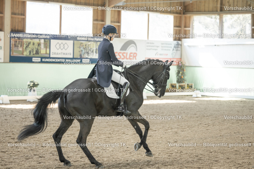 _D5A1158 | Emotionale Pferde- & People-Fotografie rund um Heidelberg, Leimen & Umgebung. Natürliche Fotos von Pferd, Mensch & Familie. Jetzt Termin sichern!