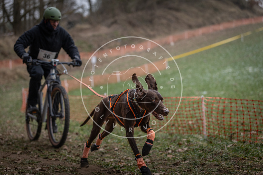 Pfotenfotografie_DV3A9746 | Hundefotografie, Tierfotograf, Pfotenfotografie, Fotoshooting Hund, Hunde Portrait, Hundesport, Hundeportraits, Heideshooting, Hunde, Sportfotograf, Hundefotograf, Turnierhundsport, THS,  - Realisiert mit Pictrs.com