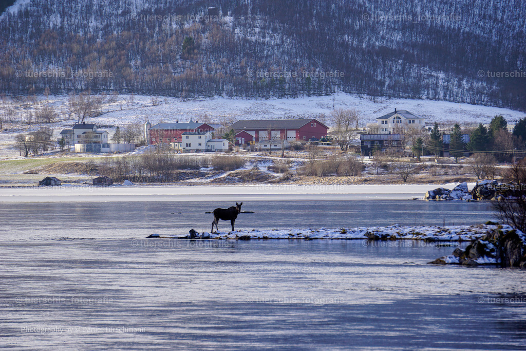 _DSC1780 | tuerschis_fotografie - Realisiert mit Pictrs.com