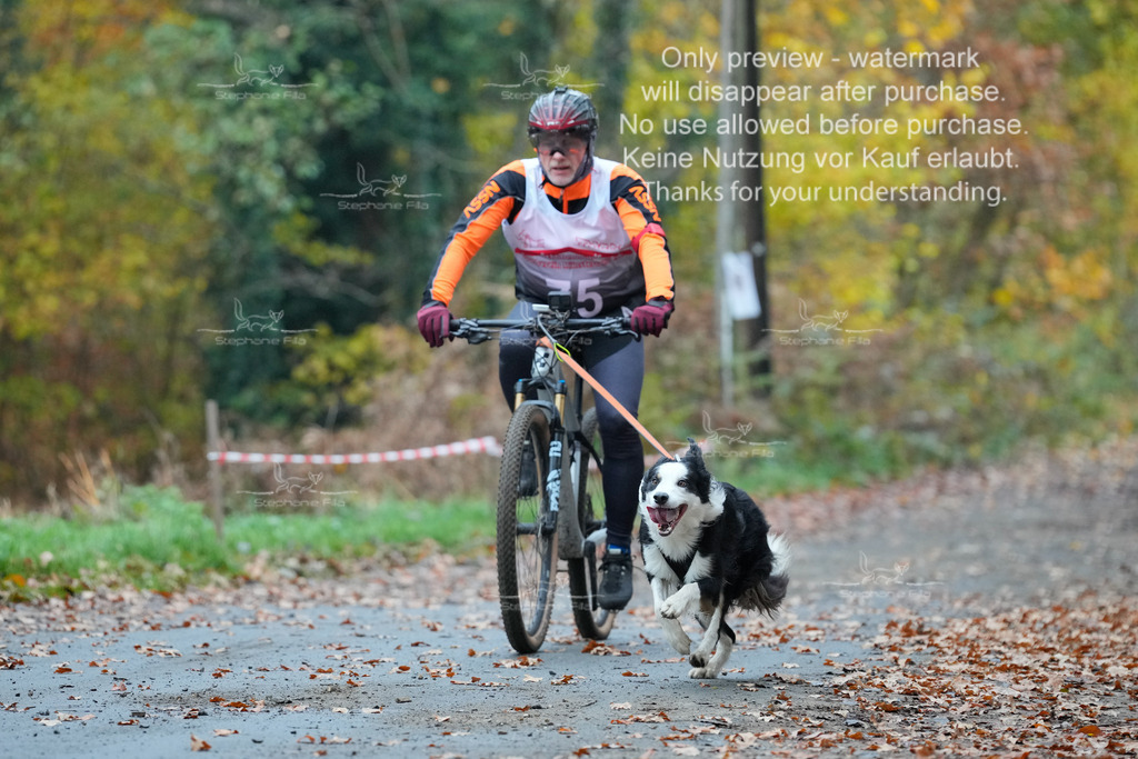 Bike_So-63 | stephaniefillaphotographie - Realisiert mit Pictrs.com