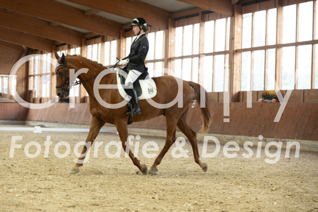 IMG_1600 | Creatify Fotografie