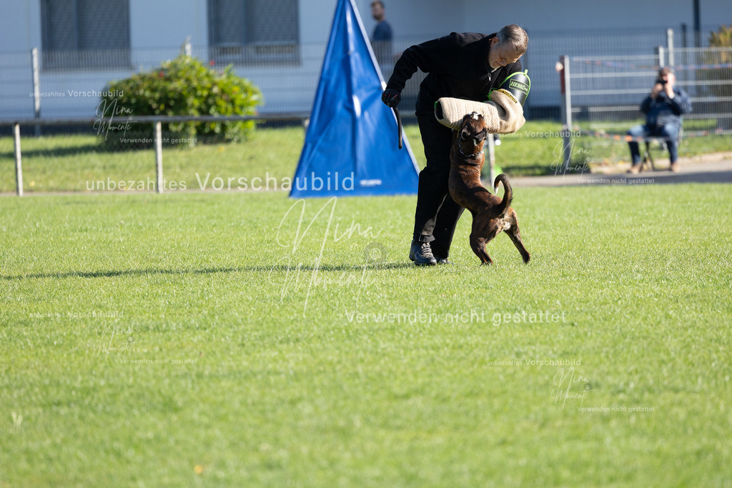 _16A5142 | Einzigartige Fotos von Hunden & Menschen –Actionfotos, Portraits, Vereinsaufnahmen & Paarshootings – authentisch, lebendig & mit Herz.