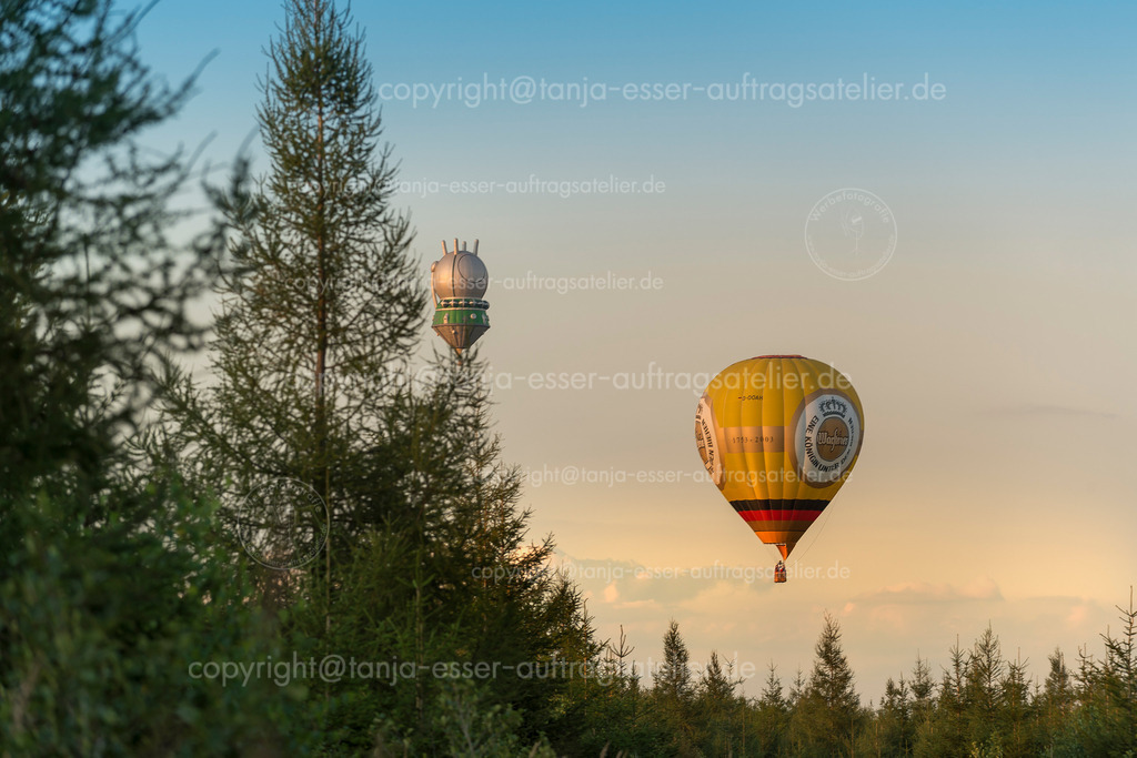 135 Ballons ueber dem Wald 3 | Warsteiner Internationale Montgolfiade ist die Veranstaltung mit Heißluftballons. Verschiedene Ballons fliegen über den Wald. Sonnenuntergang.