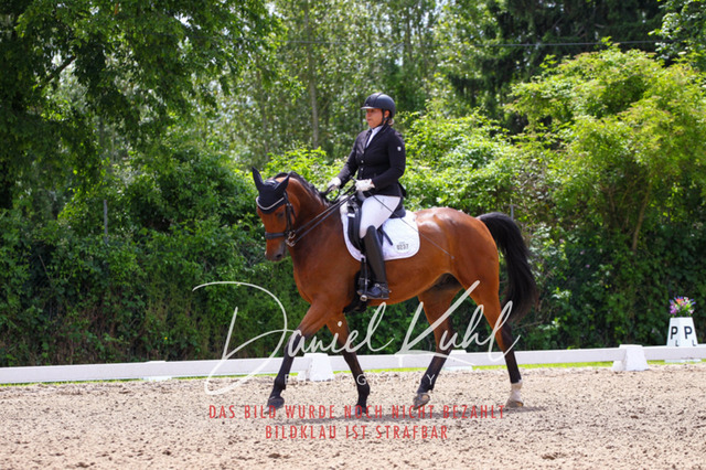 DKP41105 | Turnierfotos kaufen im Webshop von Daniel Kuhl Photography – entdecke professionelle Reitsportfotos aus Turnieren & Events. Hochwertige Turnierbilder online bestellen & sichern. Jetzt Fotos von Reitsportturnieren kaufen!