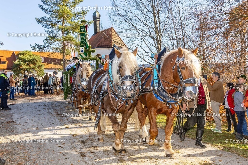 LBT25-1366 | foto-bettina-krinner - Realisiert mit Pictrs.com