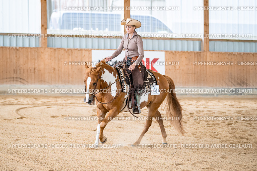 DSC09058 | Pferdegrafie