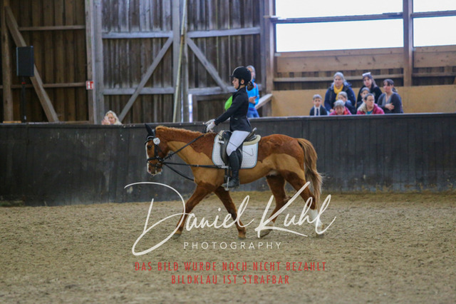 IMG_1598 | Turniersportfotografie; Pferdefotografie; Dressurfotografie