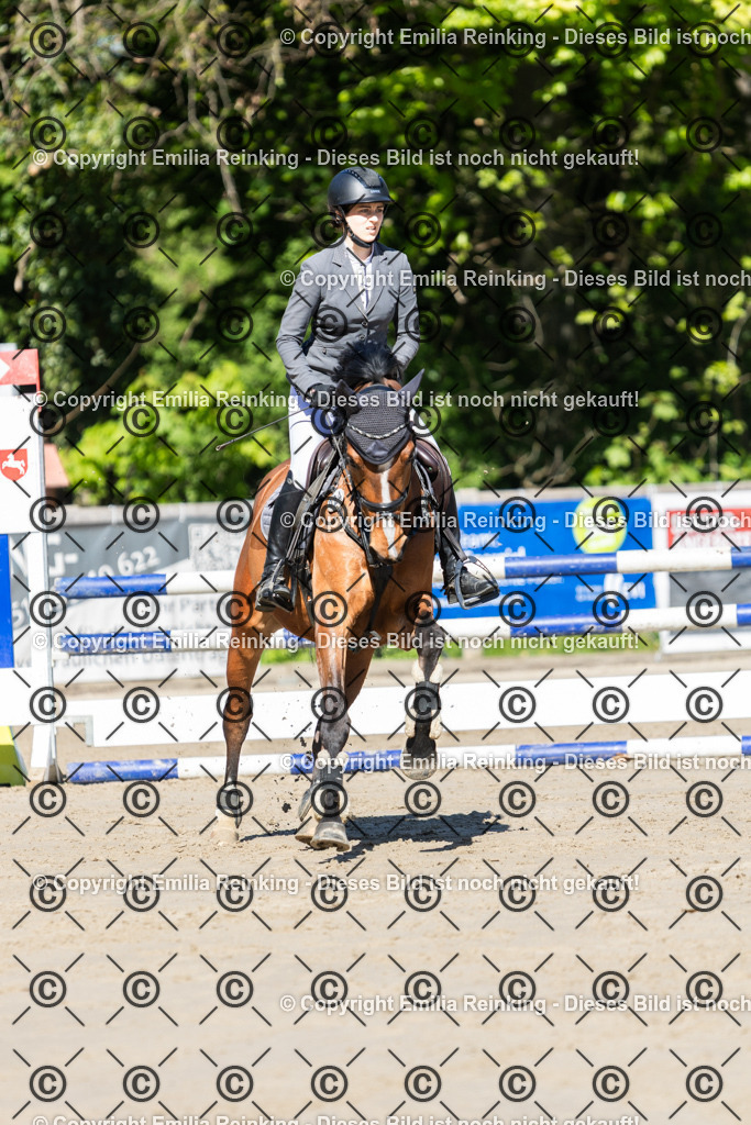 CL5A1765 | Emilia Reinking Fotografie - Realisiert mit Pictrs.com