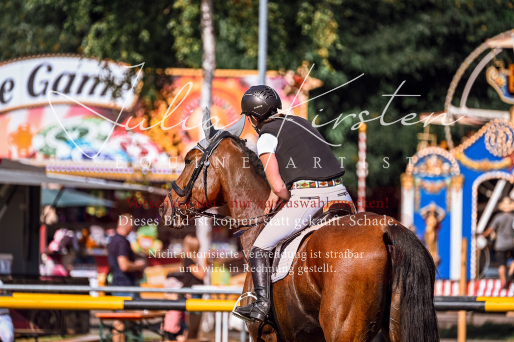 DSC_1178 | Pferde- und Turnierfotografie in Westsachsen. Pferdeportraits, Auftragszeichnungen und intuitive Kunst.