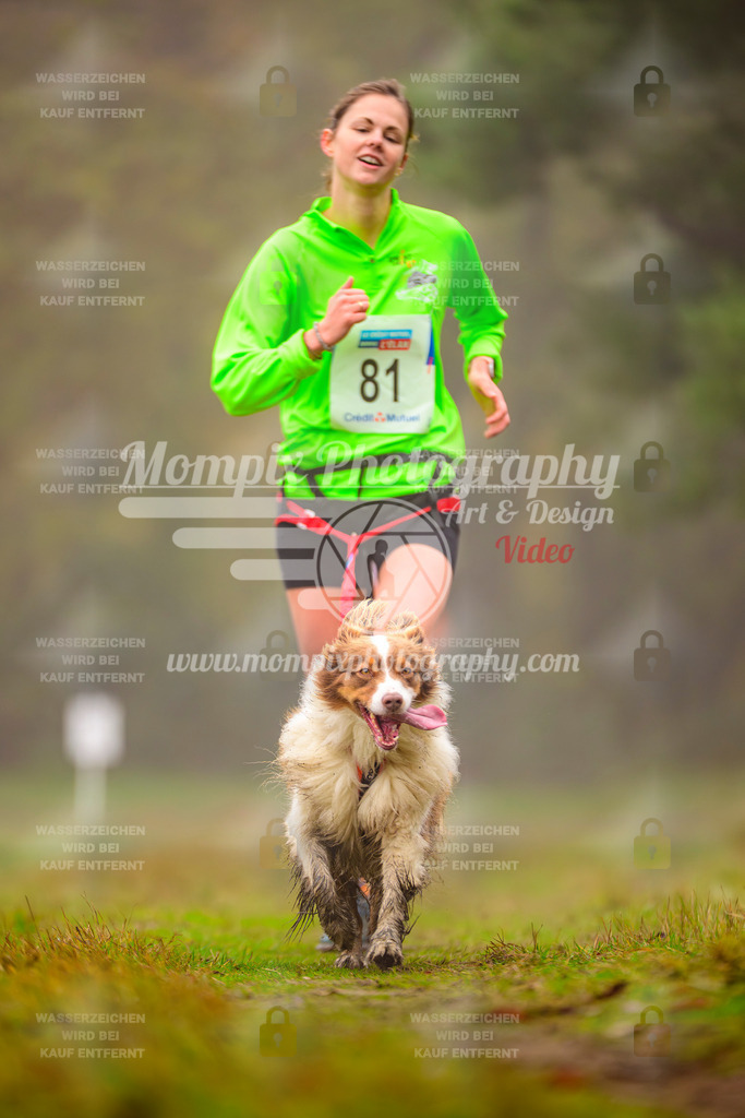 MompixPhotography_Bischwiller2025_Canicross-87 | mompixphotography