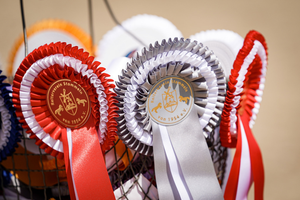 DSC01722 | Pferdegrafie