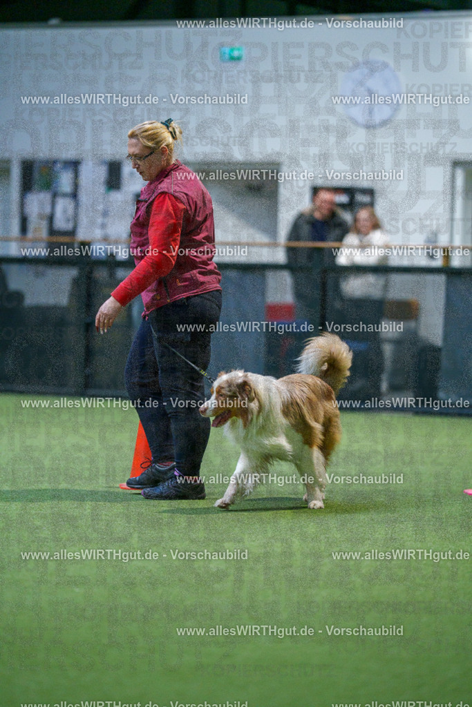 7R500693 | Professionelle Tierfotografie in Mönchengladbach von Daniel Wirth (allesWIRTHgut). Liebevolle & natürliche Bilder von Hunden & Katzen für unvergessliche Erinnerungen.