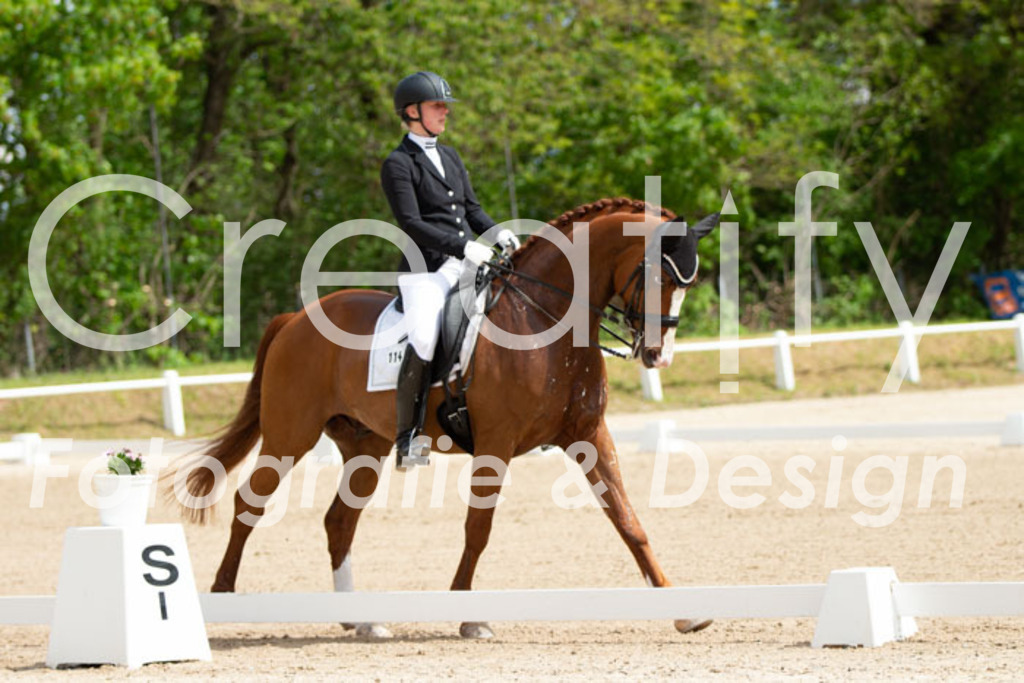 IMG_6462 | Creatify Fotografie