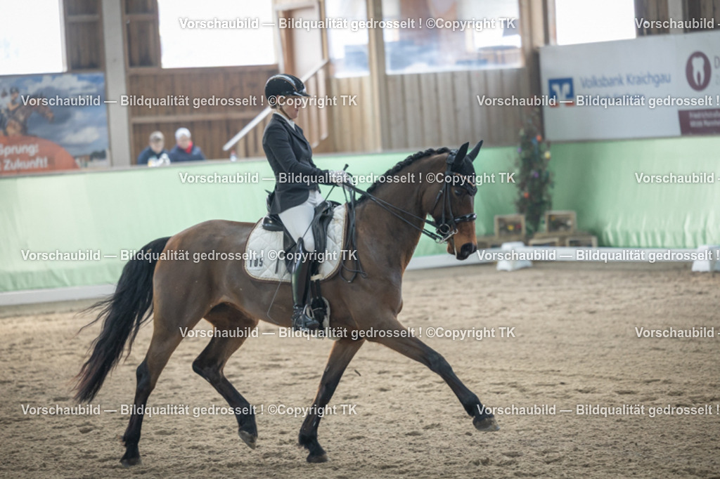 _D5A4340 | Emotionale Pferde- & People-Fotografie rund um Heidelberg, Leimen & Umgebung. Natürliche Fotos von Pferd, Mensch & Familie. Jetzt Termin sichern!