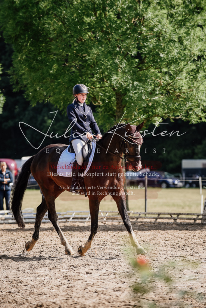 DSC_0130 | Pferde- und Turnierfotografie in Westsachsen. Pferdeportraits, Auftragszeichnungen und intuitive Kunst.
