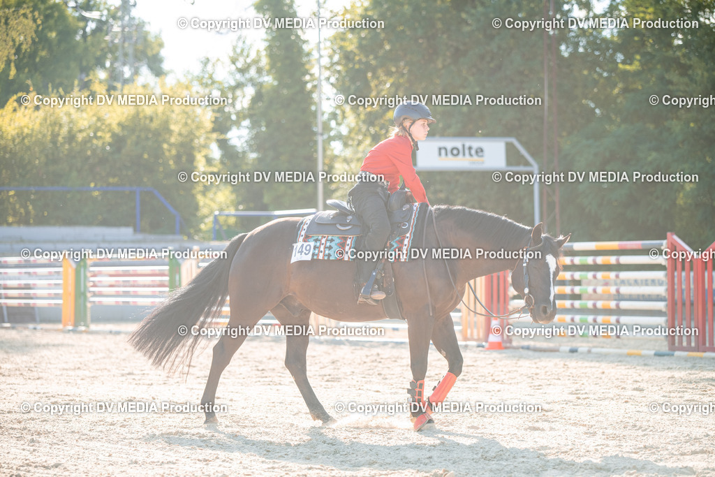 EWP_7145 | dv-media-shop - Realisiert mit Pictrs.com