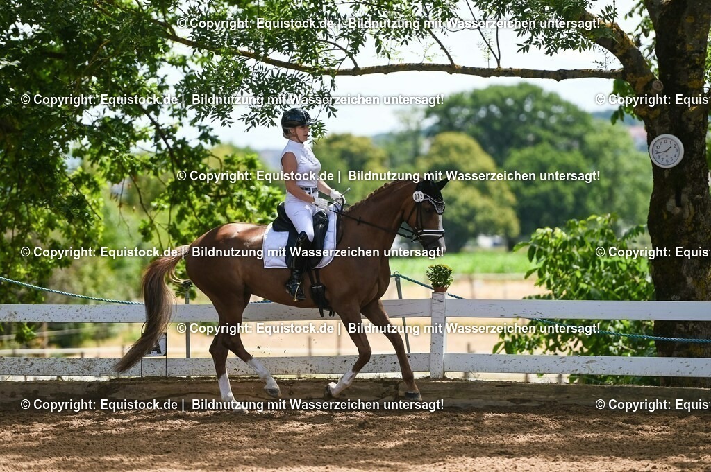 20230716_03_Dressurprfg. Kl.L - Tr._0506 | equistock