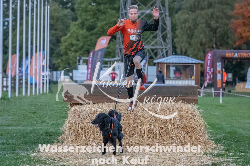 0800_ZZ93785-Bearbeitet | kk-dogfotos